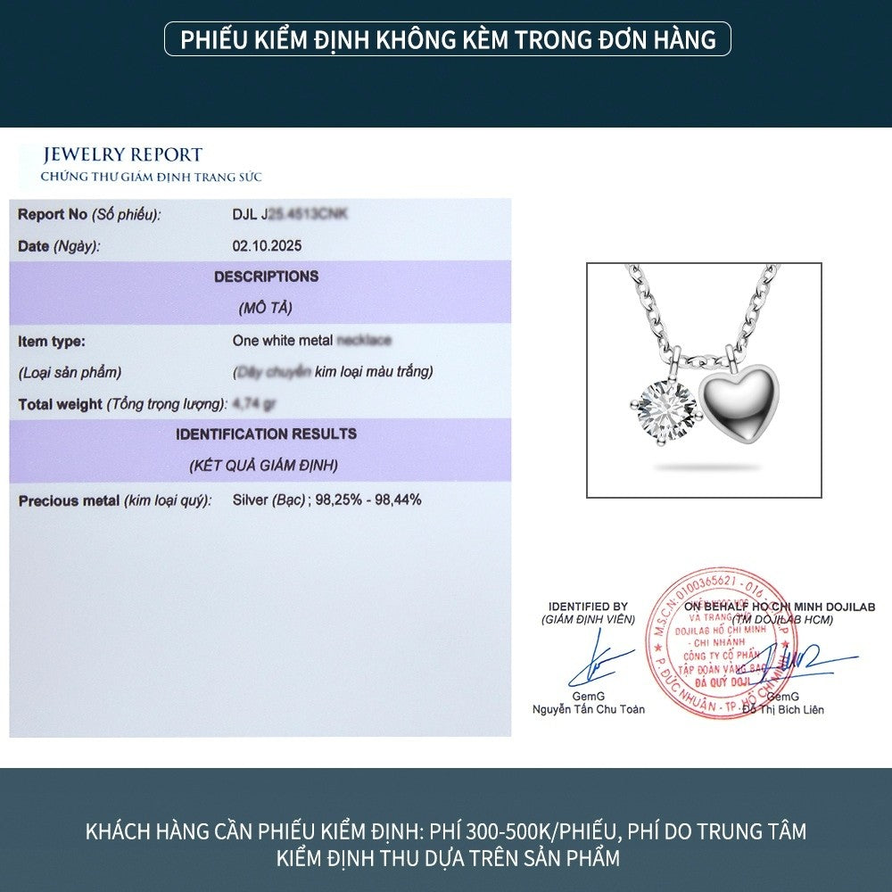 Dây chuyền bạc S925 mặt trái tim đôi đính đá zircon 5A