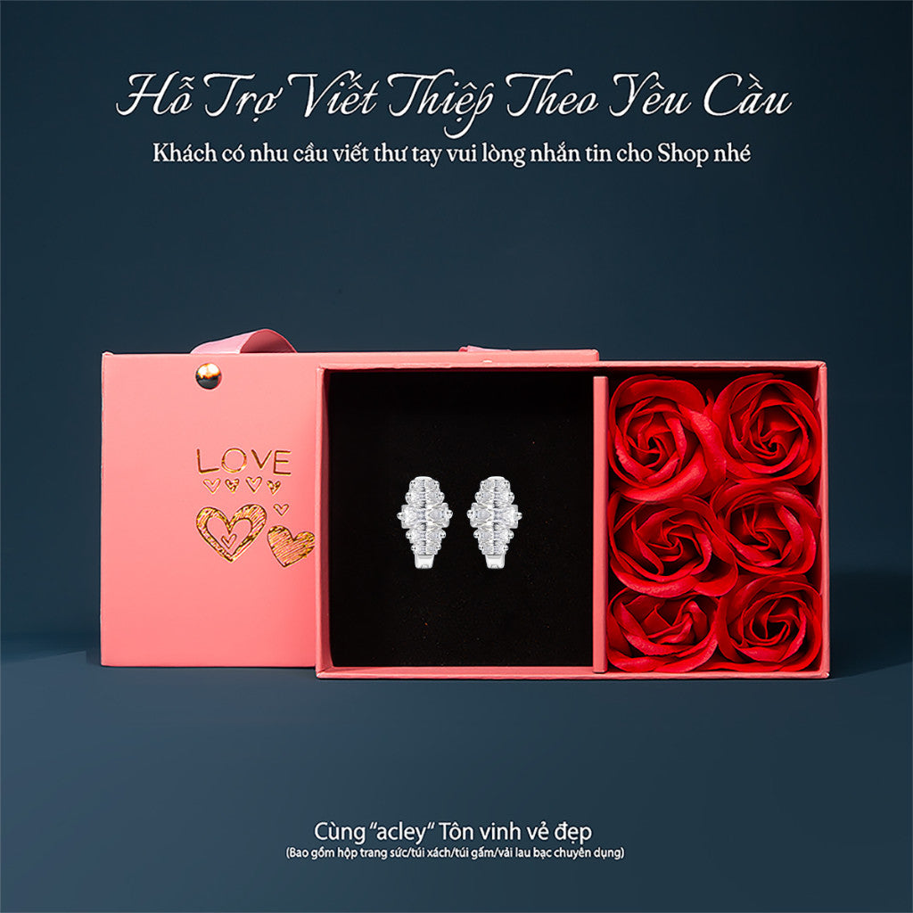Bông tai vòng bạc S925 đính đá zircon 5A nhiều viên